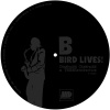 MAGNETIC BLACKNESS LABEL - Side B.jpg