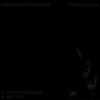 Magnetic Blackness - Back Cover.jpg